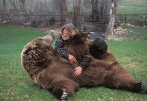 10 фактов о медведях