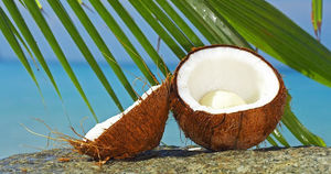 10 удивительных фактов о кокосах