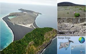 Таинственный остров, которого не существовало еще четыре года назад, теперь полон жизни