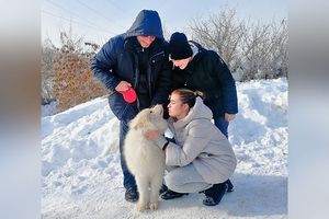 Несколько раз похищали и кормили шашлыком: самарцы нашли своего пса-самоеда, потерявшегося 4 года назад