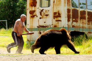 Встреча с медведем: как себя вести