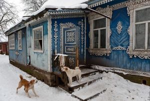 Житель Брянской области превратил свой дом во дворец