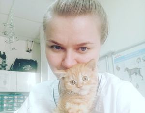 Чтобы спасти котенка, врач из Челябинска тайно вывезла его из-за границы