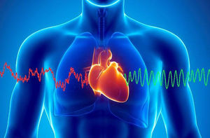 Как организм предупреждает об остановке сердца