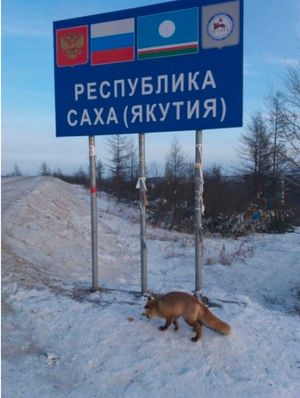 Республика Саха — интересные факты и фото из Якутии