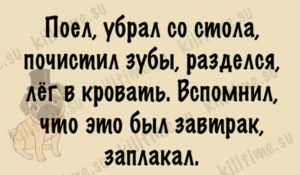 Подборка из 15 веселых историй для создания хорошего, позитивного настроения