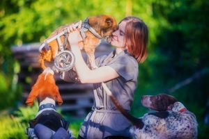 Российский фотограф бросила карьеру, чтобы жить с сотней больных собак в лесу — фото