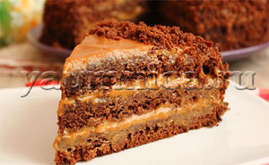 Пышный и очень вкусный домашний торт на кефире – пошаговый фото рецепт