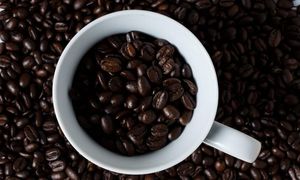 В 2020году чашку «космического кофе» можно будет попробовать за 400$