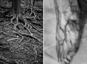 Фотопроект о гармонии человеческого тела с элементами природы