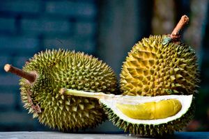 Новый гибрид индонезийского дуриана можно приобрести за 1000 долларов