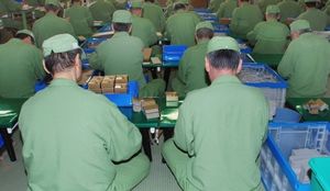 Японские тюрьмы самые «ужасные» в мире хотя там опрятно и тихо