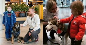 В Домодедово собаки помогли пассажирам снять стресс перед полетом