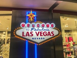 Прогуливаясь по Лас-Вегасу                     (20 фото + 1 видео)