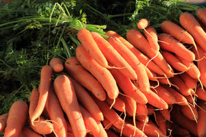 Морковный салат с редисом: свекровь научила! Радуюсь как ребенок, жалею, что раньше не спросила рецепт.