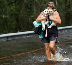 Как спасали животных от урагана «Флоренс»