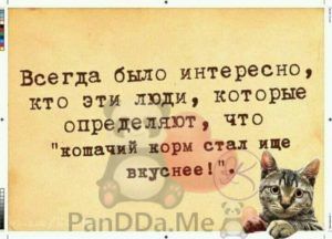 Новая порция из 15 жизненных и смешных коротких рассказов из сети