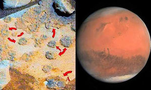Curiosity обнаружил марсианские грибы