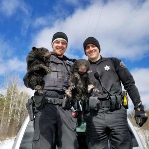 Берлога с двумя медвежатами наполнялась водой, а малыши плакали, зовя на помощь