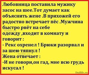 Порция яркого юмора: 19 лучших анекдотов и шуток в картинках