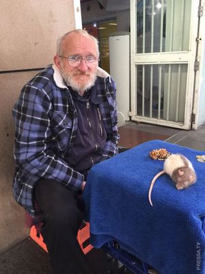 У бездомного украли любимую крысу и полиция ищет вора