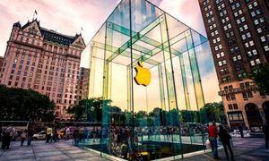 Apple Store в Нью-Йорке кишит клопами