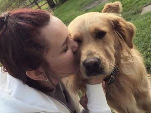Трогательная история спасения: как студентка в одиночку выходила трёх больных собак
