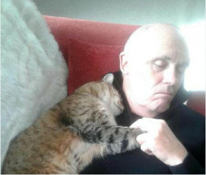 Вот почему фото спящего пенсионера и кота стало вирусным