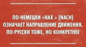 25 острых жизненных шуток — и посмеяться от души, и задуматься о насущном