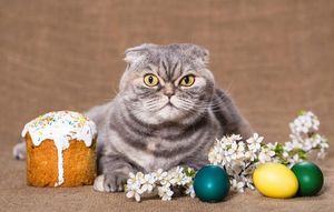 Коты и Пасха: 25 усатых, которые были рады куличам и крашеным яйцам
