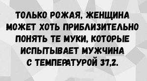 Кот футболиста никогда не спит клубком. Дюжина новых анекдотов