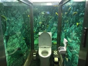 Владелец кафе в Японии превратил стены женского туалета в большой аквариум