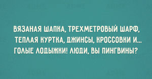 15 открыток о том, что мир потихоньку сходит с ума