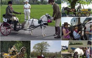 Пасхальный парад конных повозок в Великобритании
