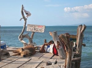 Работа мечты — бар «Пеликан» Флойда на Ямайке