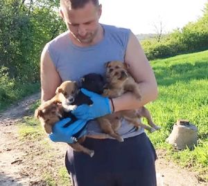 Волонтеры приехали спасти щенка, но в кустах их поджидала целая пушистая семейка