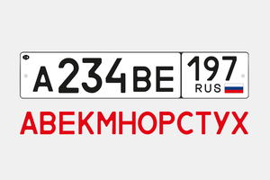 На автомобильных номерах в России можно встретить всего 12 разных букв