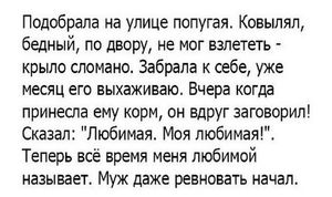 17 обалденных анекдотов для отличного настроя