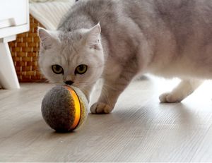 Отдохните, пока «живой» мячик играет с вашей кошкой