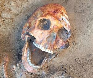 Захоронение сарматских вождей найдено в деревне Никольское