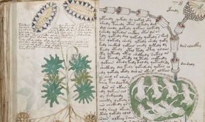 Бристольский ученый говорит, что расшифровал таинственный манускрипт Войнича (3 фото)