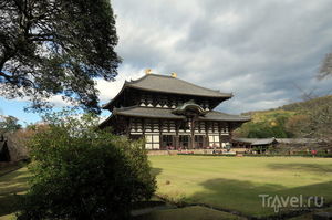 Нара — древняя столица Японии, и ручные олени