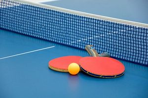 Настольный теннис и пинг-понг — разные виды спорта