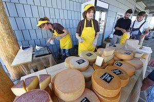 Как вышло, что калужский сыр стал стоить вдвое дороже пармезана?