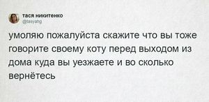 «Охраняй. Котов домой не води»: люди рассказывают, что говорят своим питомцам перед уходом из дома