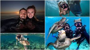 Девушка-дайвер делает потрясающие снимки с удивительными морскими обитателями