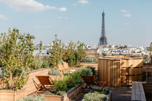 Авангардный отель в Париже от Филиппа Старка: рядом с Эйфелевой башней и Триумфальной аркой