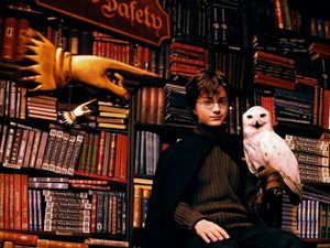 15 тайных подсказок в книгах о Гарри Поттере, которых вы никогда не замечали