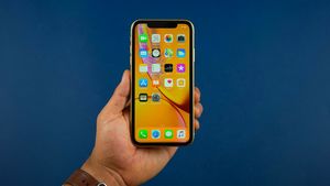 iPhone XR – самый популярный смартфон Apple последних лет