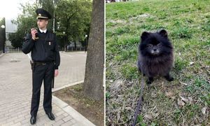 В Минске милиционер случайно нашел собаку, а через пару часов — ее хозяйку
